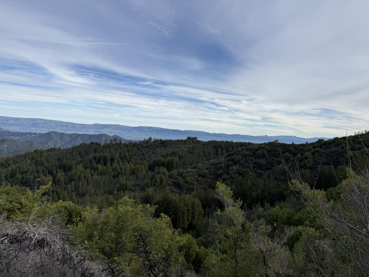 924 Croy Ridge Road Watsonville, CA 95076 - Photo 2 of 3 a view of a city with lush green forest