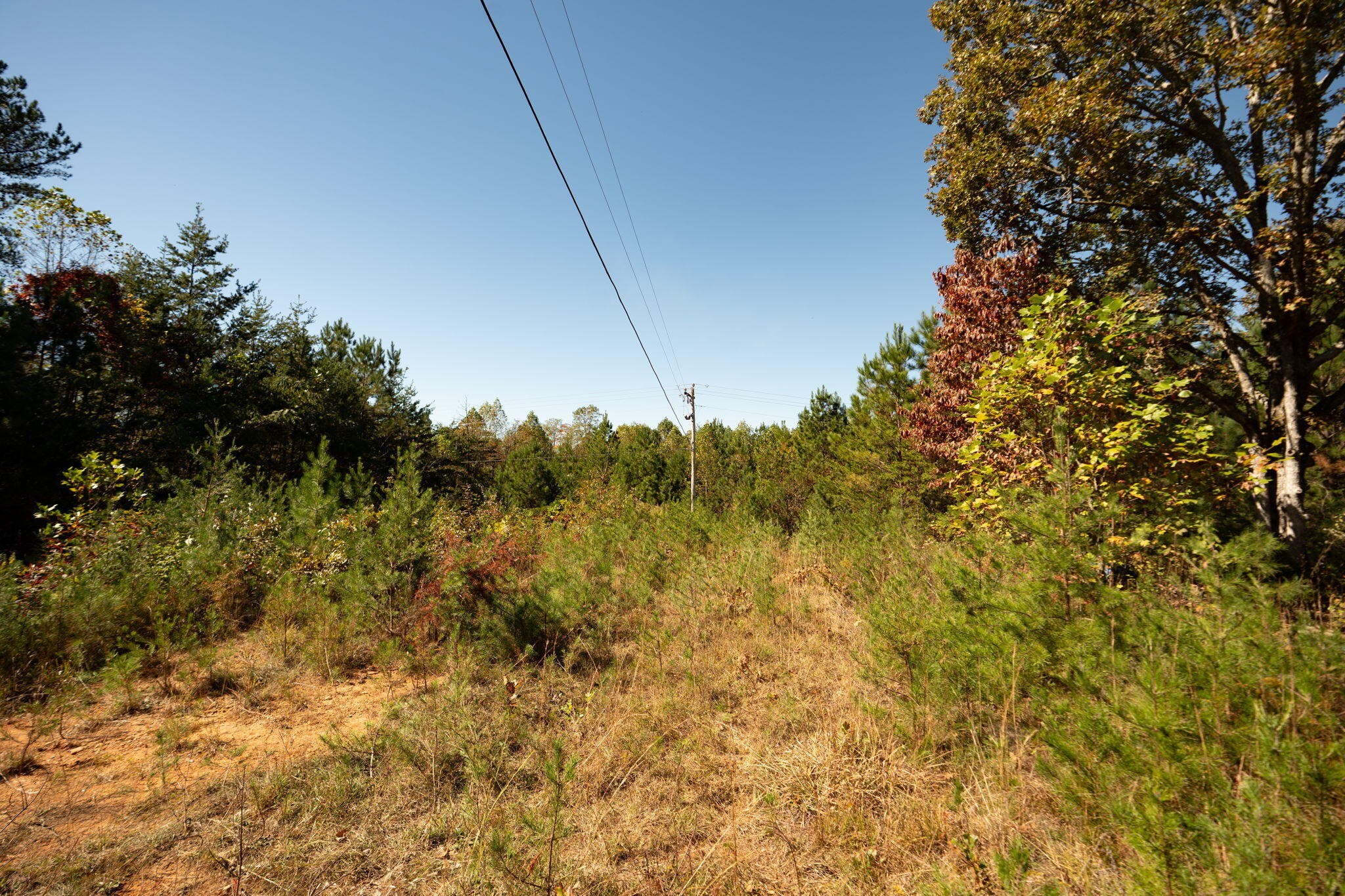 227 McAllister Road Copperhill, TN 37317 - Photo 25 of 31