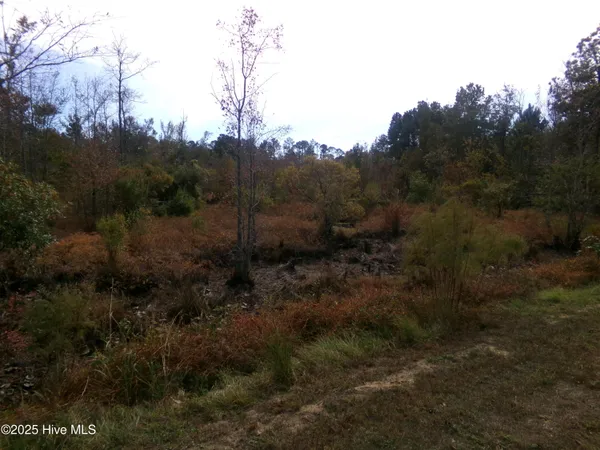 $17,000 | Lot 44964 Big Island Road, White Oak, NC 28399