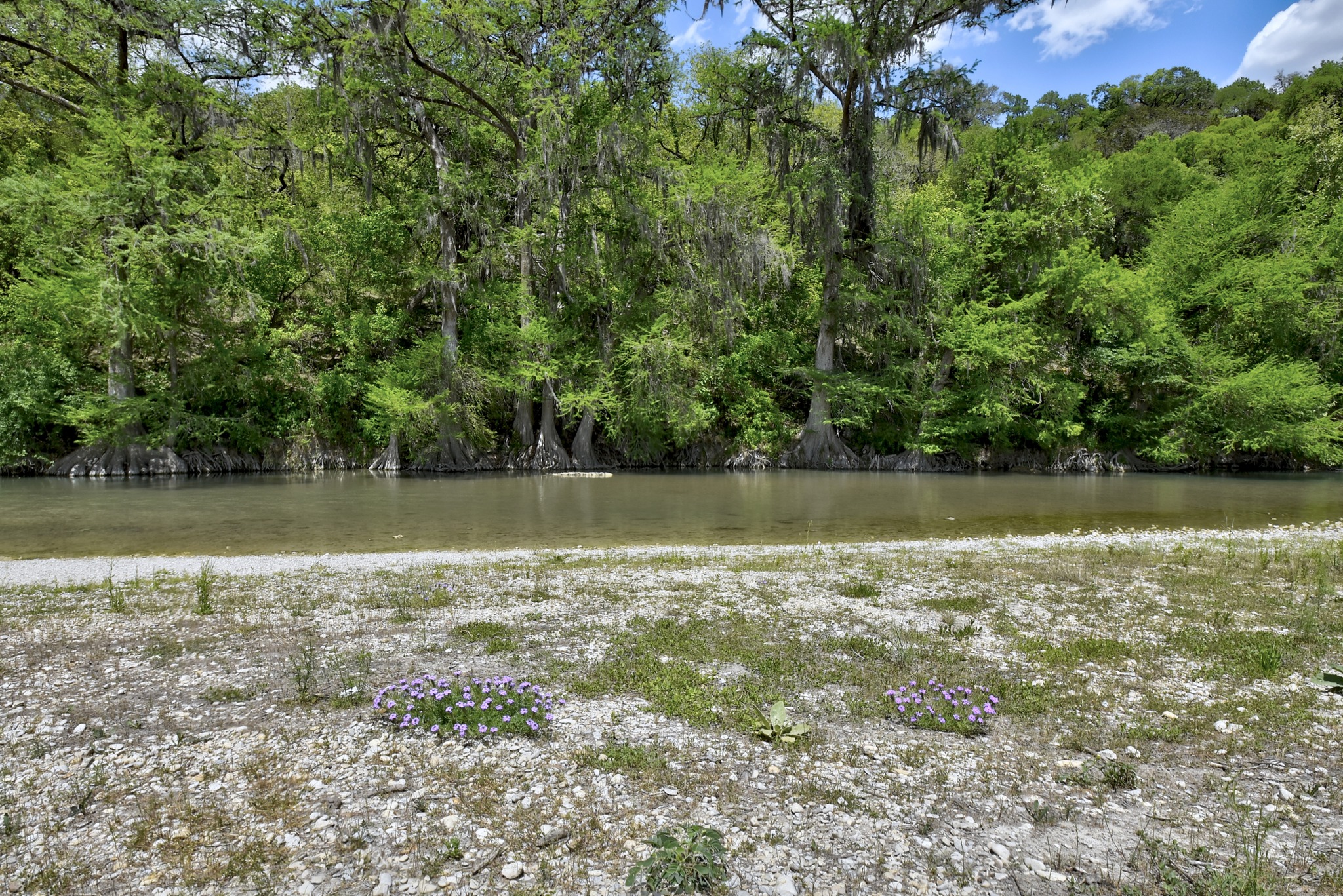 1170 Misty Lane Spring Branch, TX 78070 - Photo 13 of 24 A tranquil riverfront parcel with mature trees and a gravel bank awaits your vision.