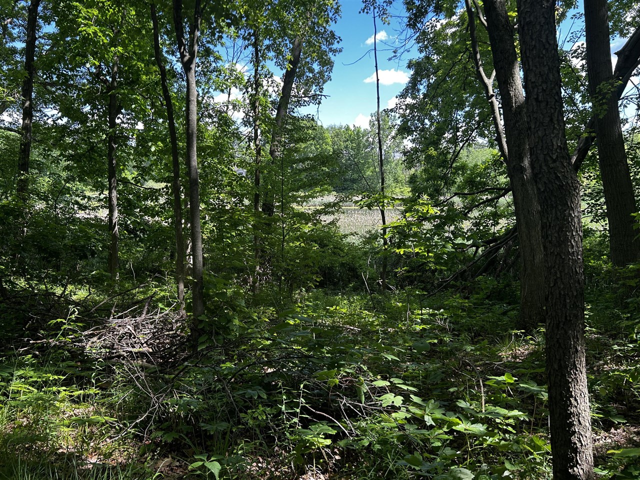6670 Tower Lake Road Northeast Belding, MI 48809 - Photo 41 of 52