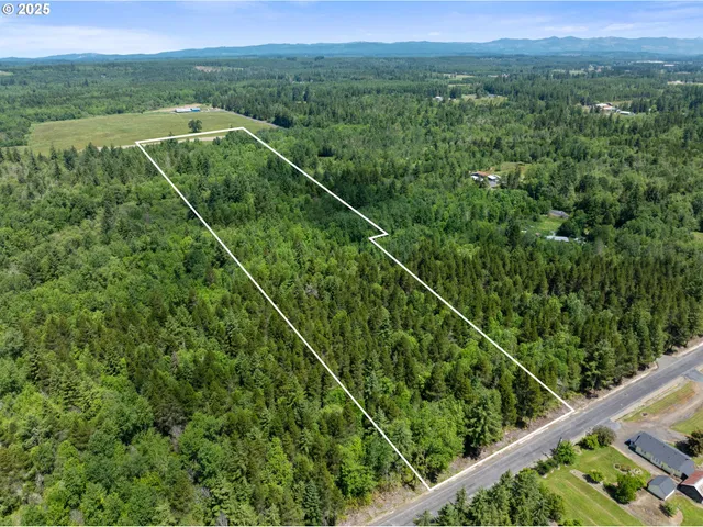 a view of a lush green forest from a balcony