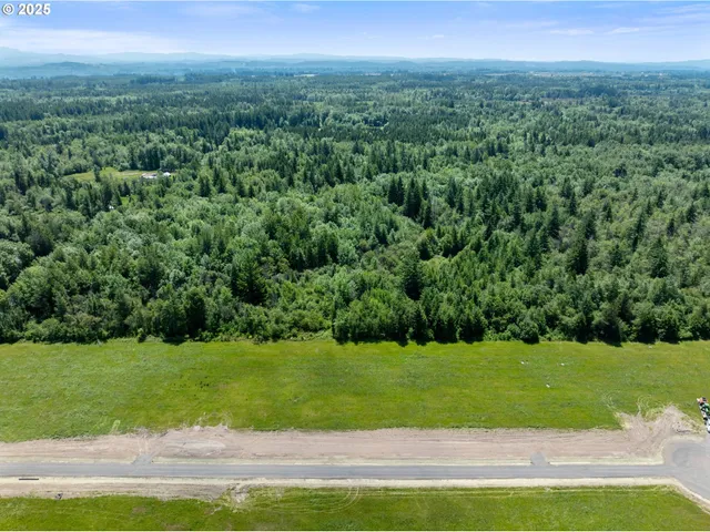 a view of a grassy field with trees