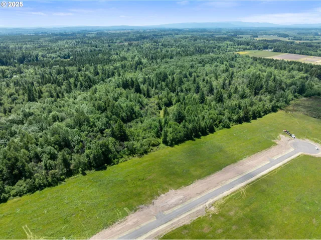 a view of a lush green forest with a houses
