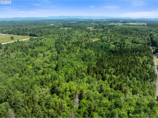 a view of a city with lush green forest