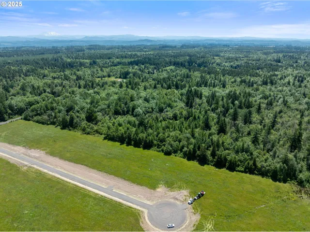 a view of a city with lush green forest