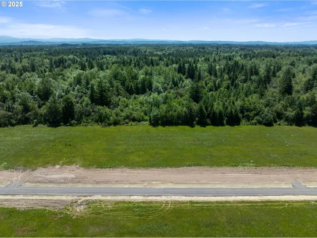 a view of a field with a yard