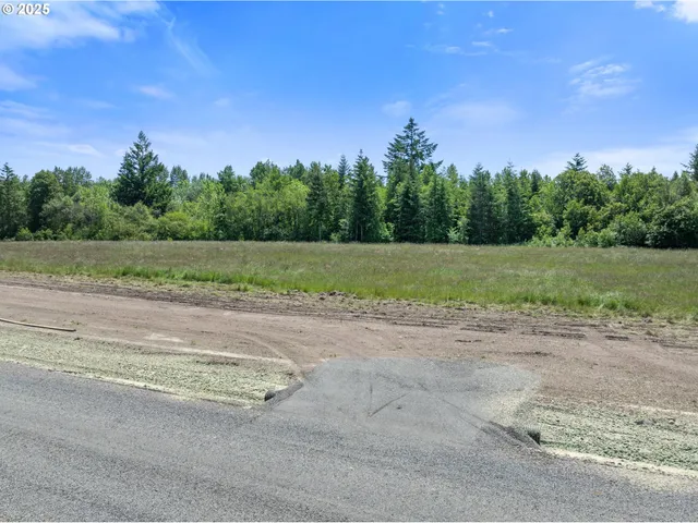 a view of a field with trees in background