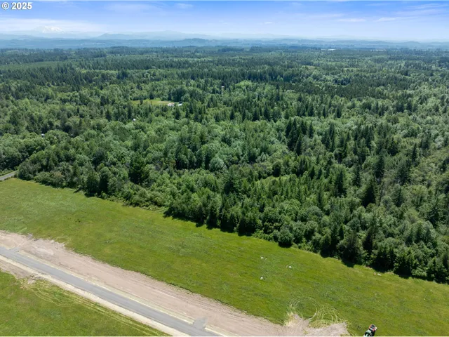 a view of a lush green forest with a house