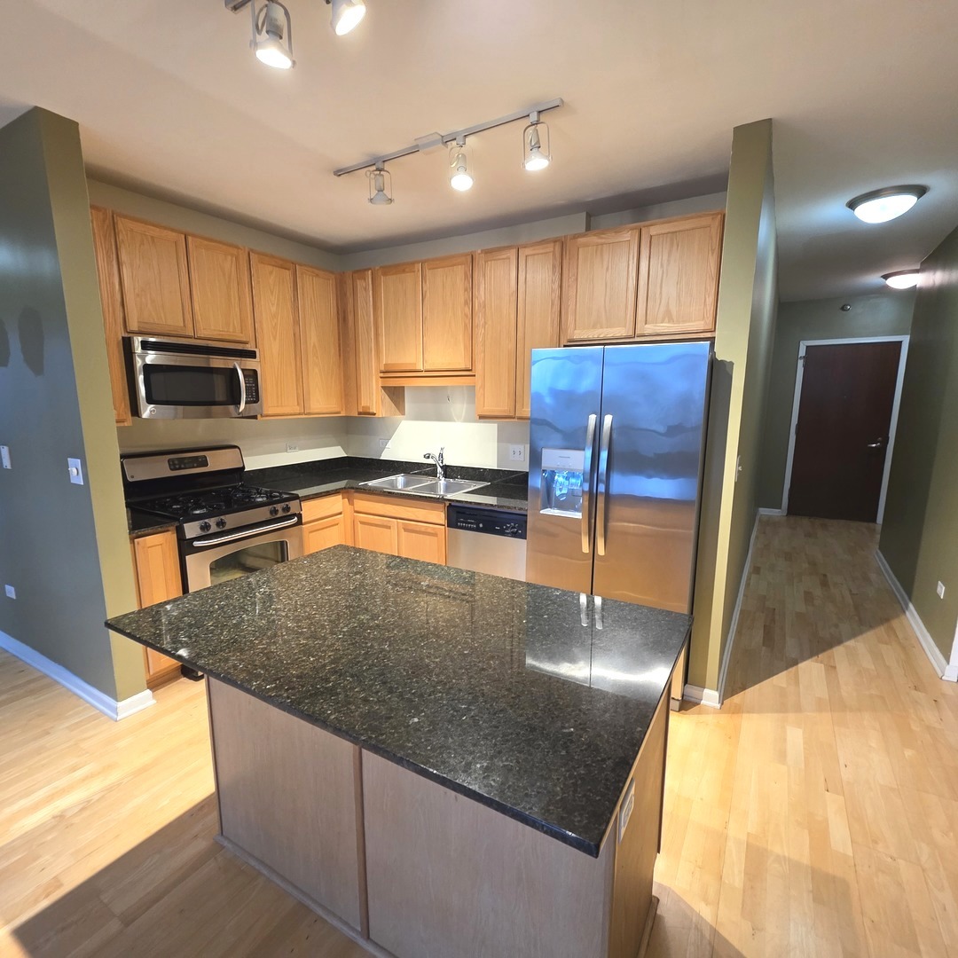 1255 South State Street, Unit 1017 Chicago, IL 60605 - Photo 4 of 16