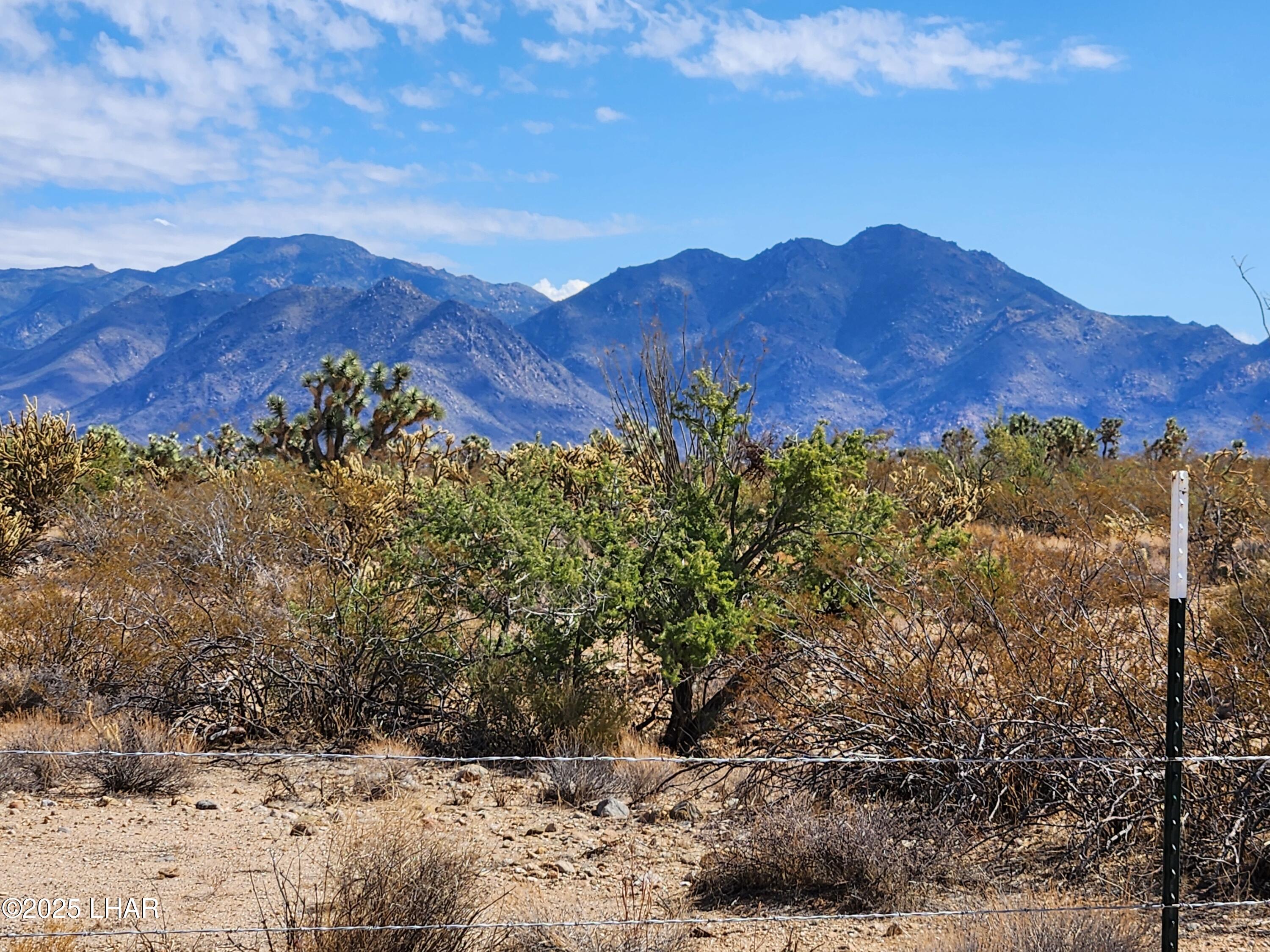 14176 Nash Road Yucca, AZ 86438 - Photo 25 of 34 Hualapai mountain views
