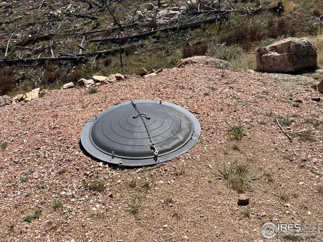 a view of swimming pool from a tree