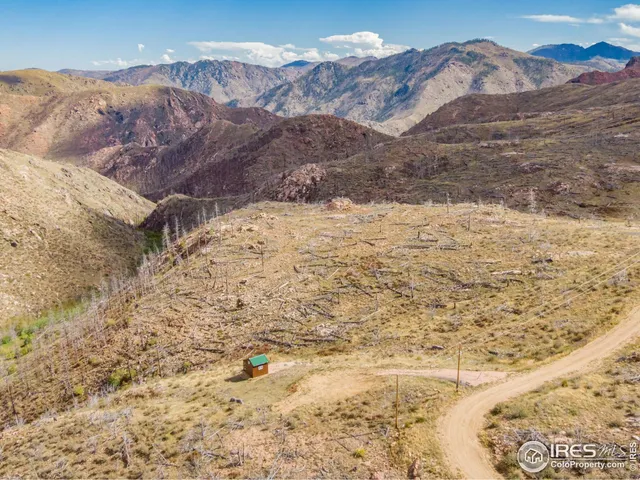 a view of a dry yard