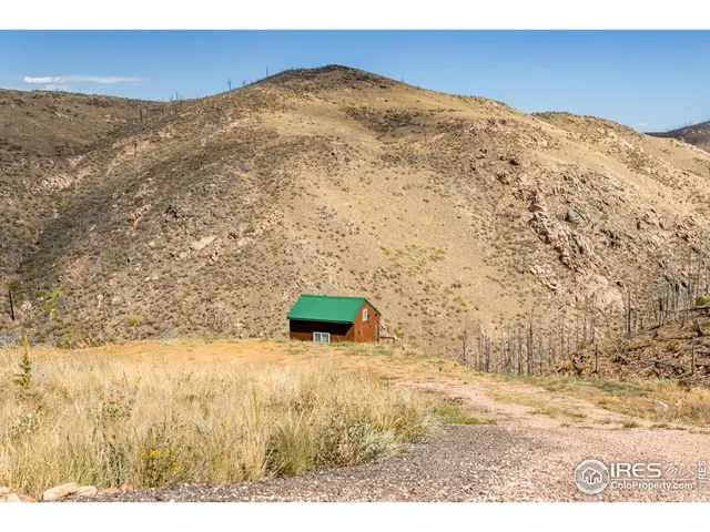 a front view of a house with a yard and large tree