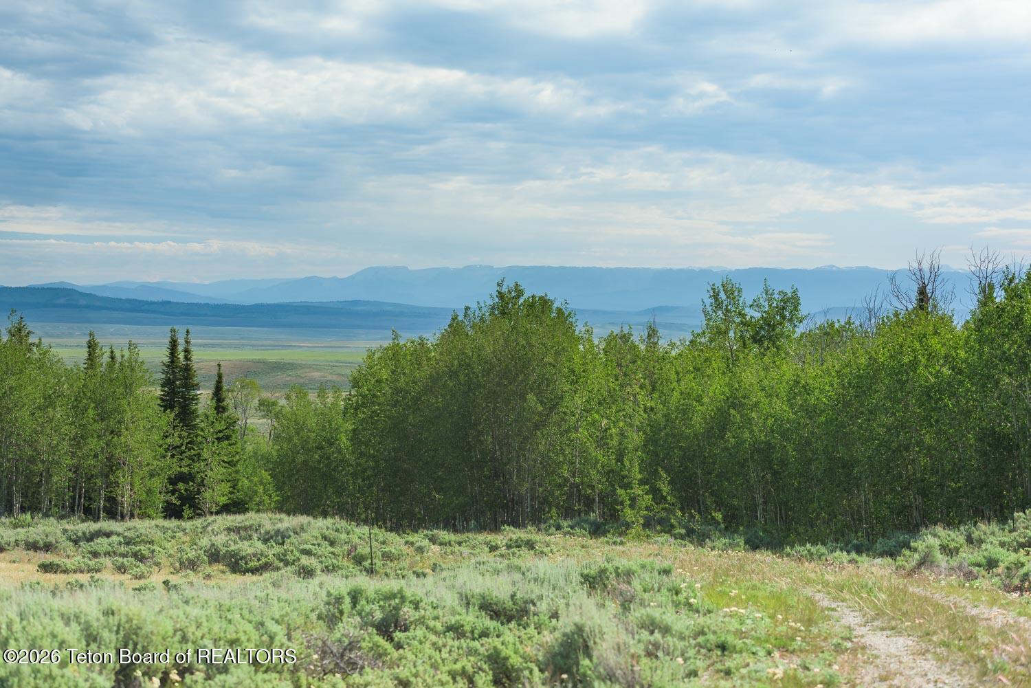 14 Spring Hollow Road Daniel, WY 83115 - Photo 14 of 47 DSC_5431-HDR