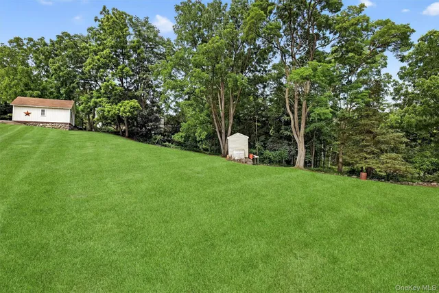 a view of a field with a tree