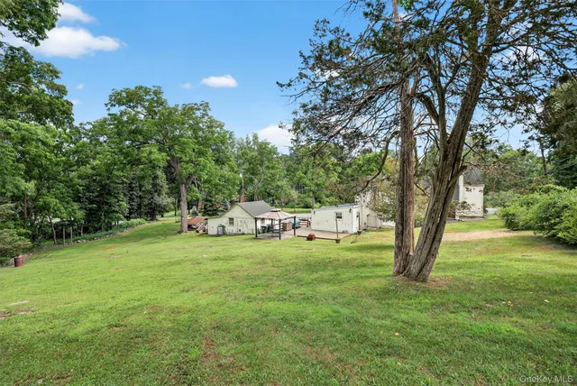 a view of a trees in a yard