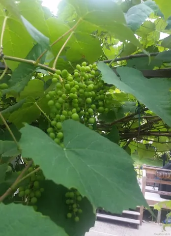 a green field with lots of green space