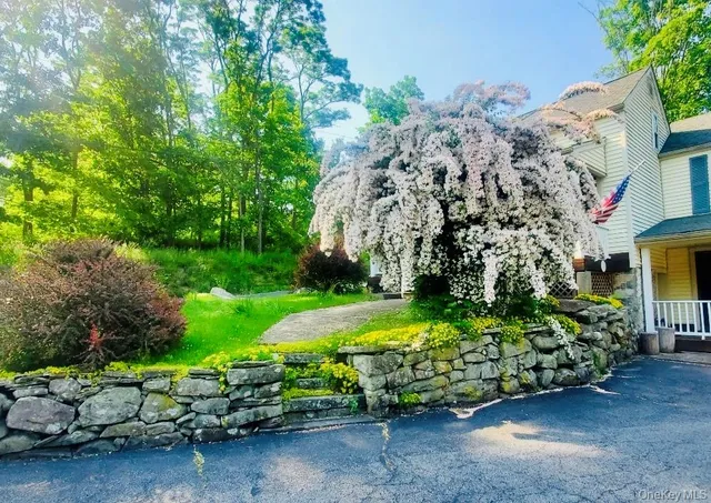 a green field covered with trees