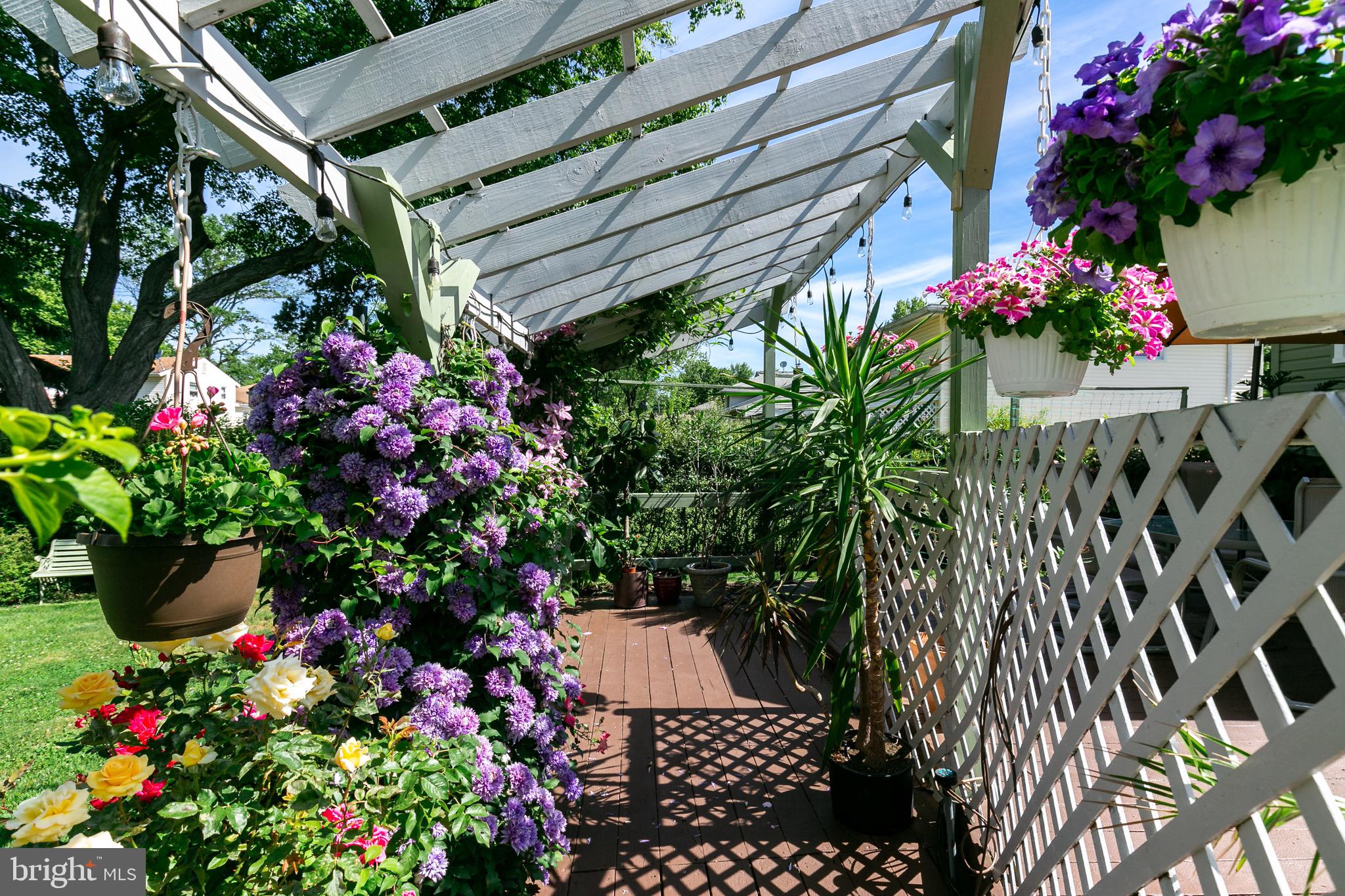 411 Howard Road Cherry Hill, NJ 08034 - Photo 35 of 38 Deck