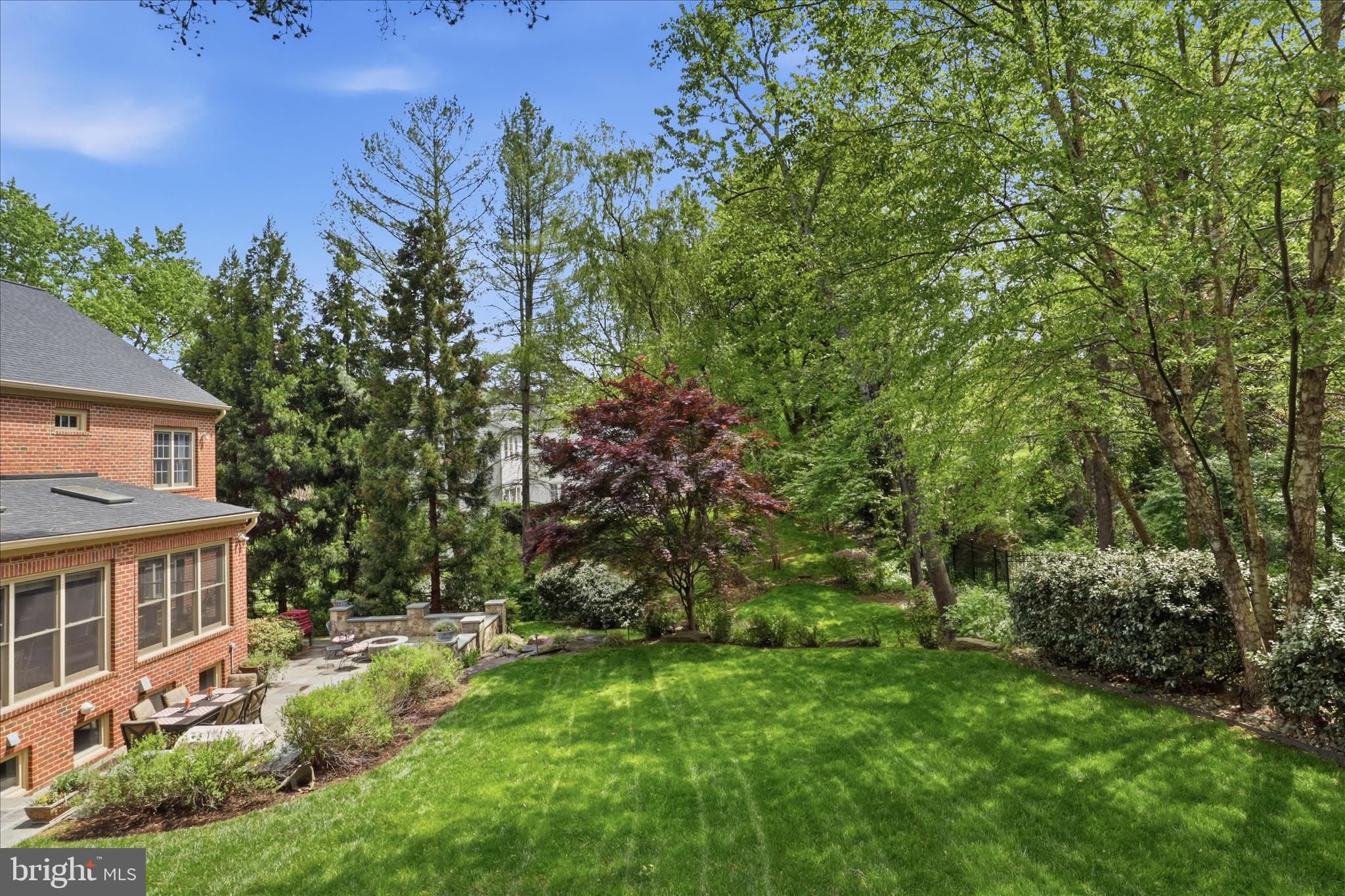 6441 Highway 193 McLean, VA 22101 - Photo 72 of 85 Mature Trees Abound