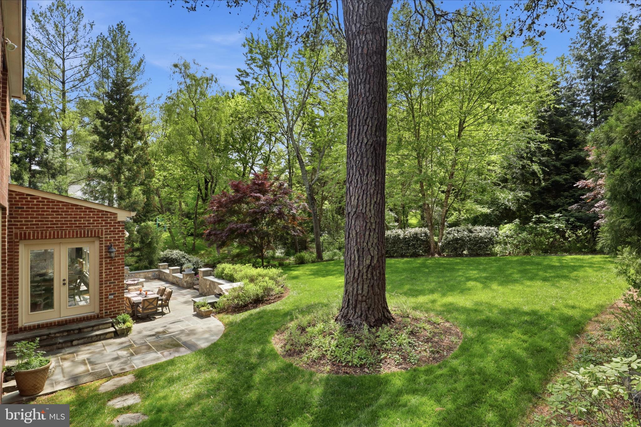 6441 Highway 193 McLean, VA 22101 - Photo 73 of 85 Natural and Private Setting