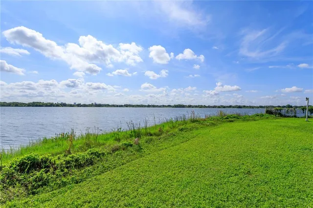 a view of a street with a big yard and a large tree
