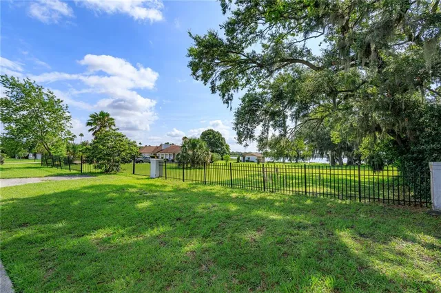 a view of a park with plants and trees