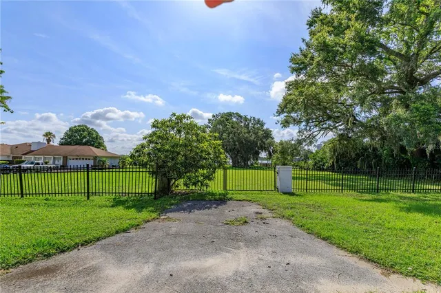 a view of a park with large trees