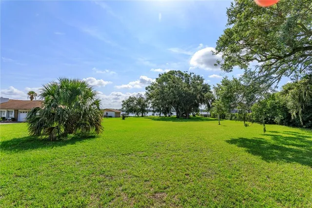 a huge green field with lots of trees
