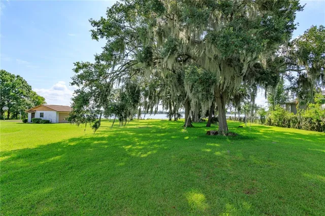 a view of a field of grass and trees
