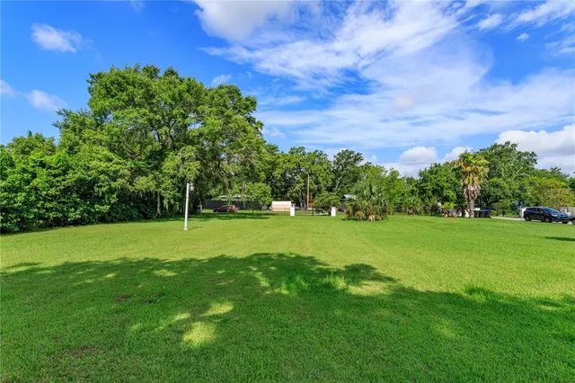 a view of a trees in front of a house with a big yard