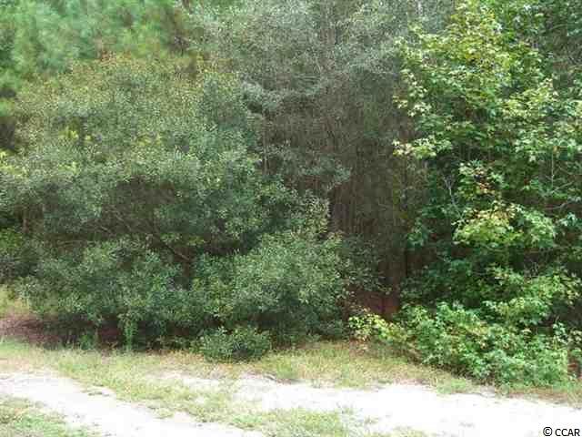 2 Reginas Place Georgetown, SC 29440 - Photo 1 of 7 Gallery Image 1