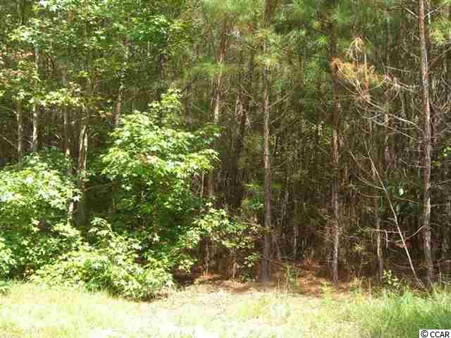 2 Reginas Place Georgetown, SC 29440 - Photo 2 of 7 Gallery Image 2