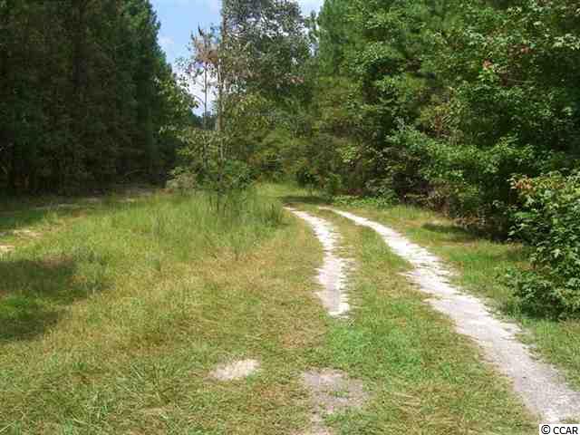 2 Reginas Place Georgetown, SC 29440 - Photo 3 of 7 Gallery Image 3