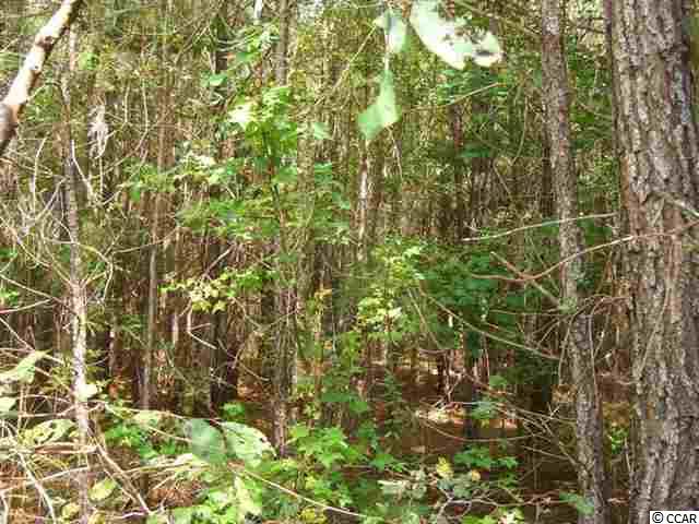 2 Reginas Place Georgetown, SC 29440 - Photo 6 of 7 Gallery Image 6