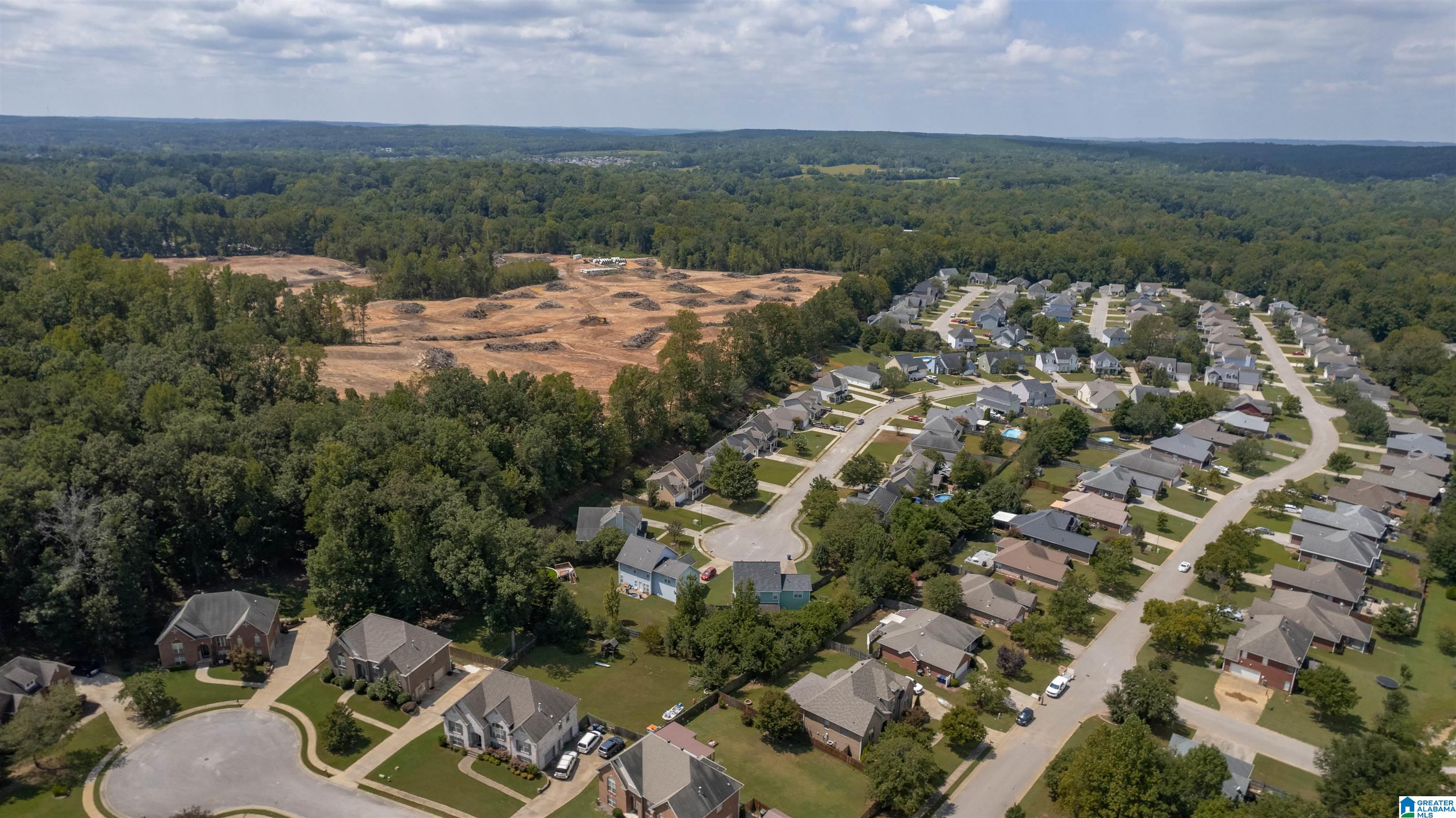 202 Cedar Grove Parkway Alabaster, AL 35114 - Photo 8 of 44