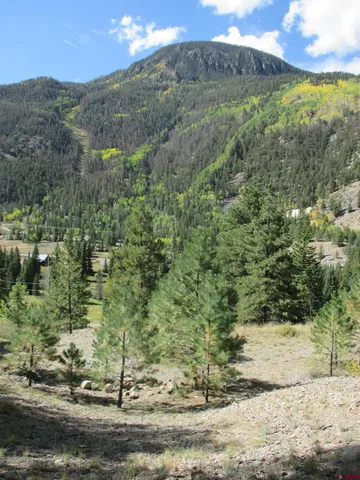 a view of a lush green field