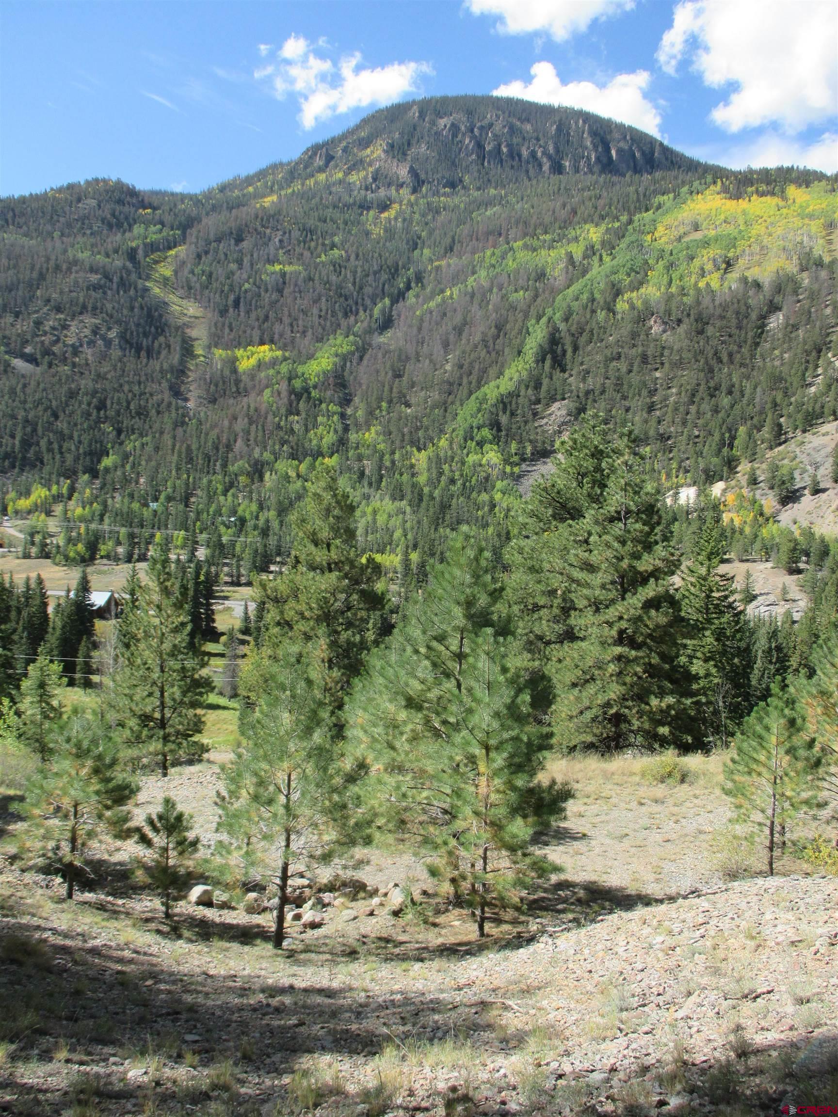 a view of a lush green field