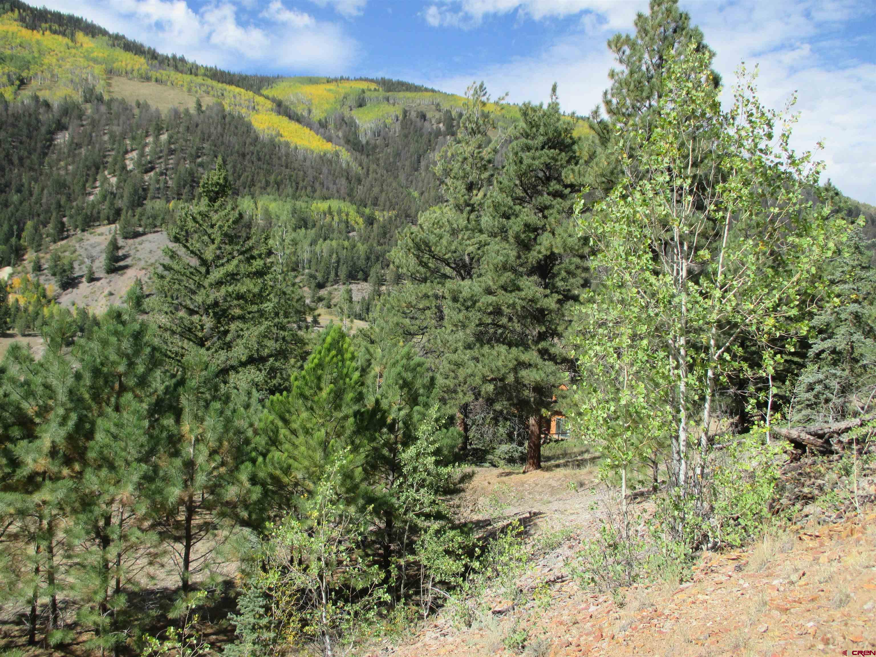 1400 Slumgullion Road Lake City, CO 81235 - Photo 15 of 35 a view of a forest with a yard
