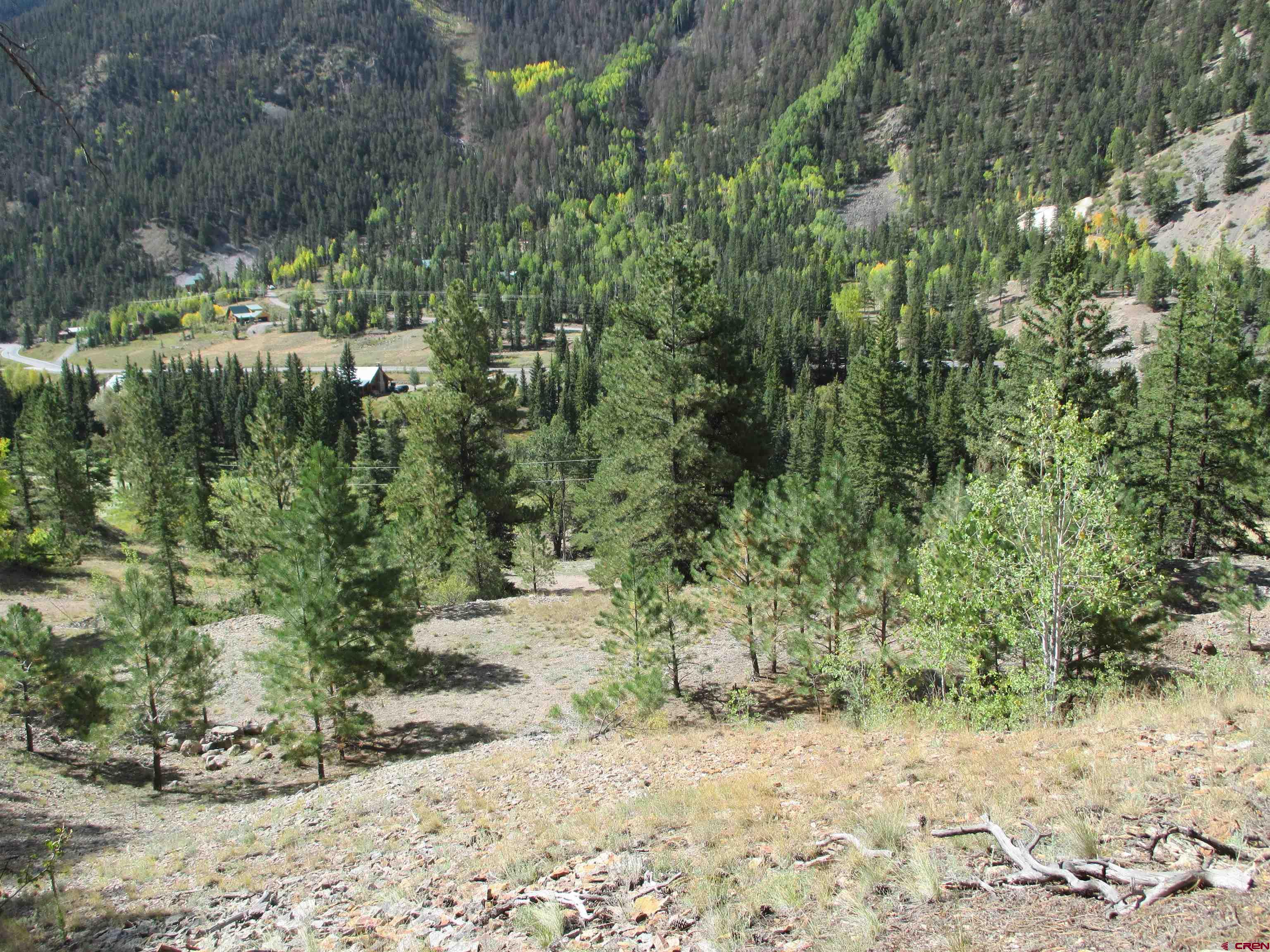 1400 Slumgullion Road Lake City, CO 81235 - Photo 16 of 35 a view of a yard with plants and large trees