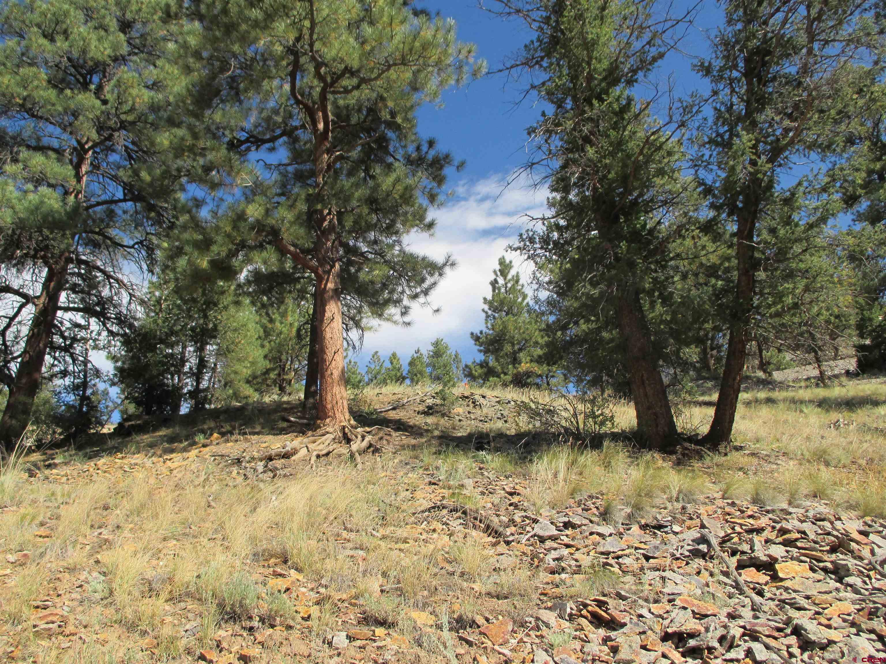 1400 Slumgullion Road Lake City, CO 81235 - Photo 17 of 35 a view of lake view