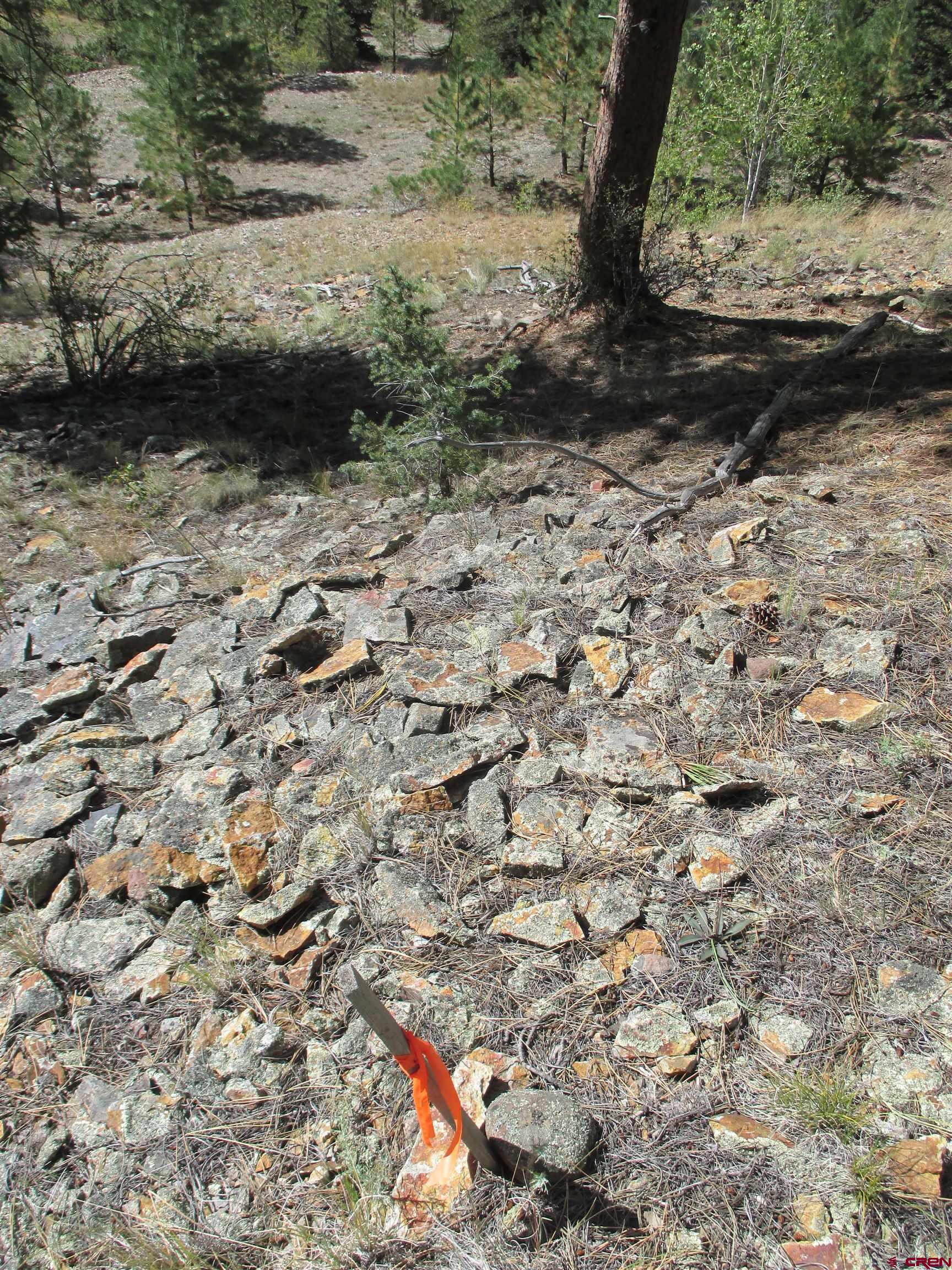 1400 Slumgullion Road Lake City, CO 81235 - Photo 18 of 35 a view of a yard with a tree