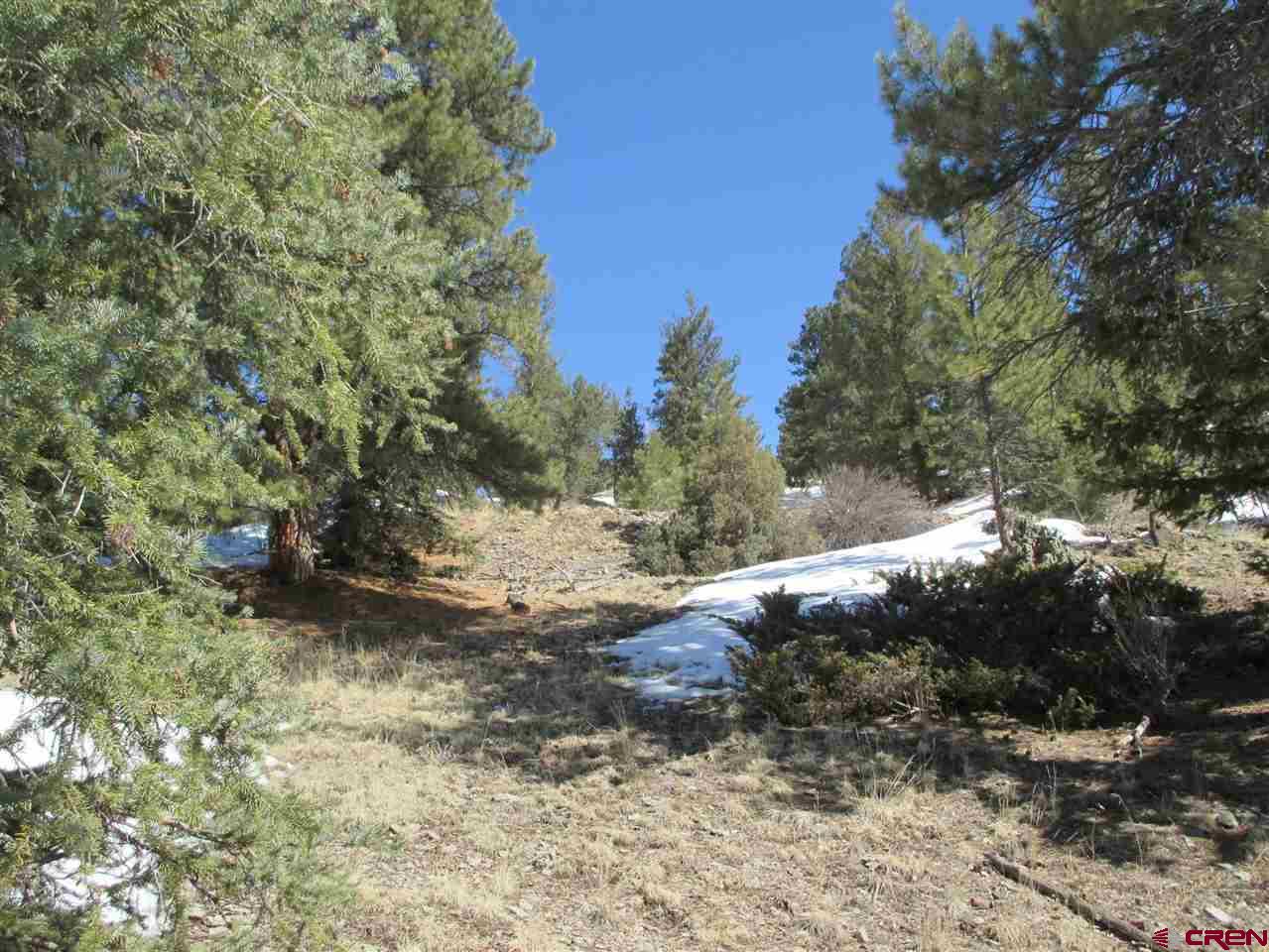 1400 Slumgullion Road Lake City, CO 81235 - Photo 24 of 35 a view of a forest filled with trees