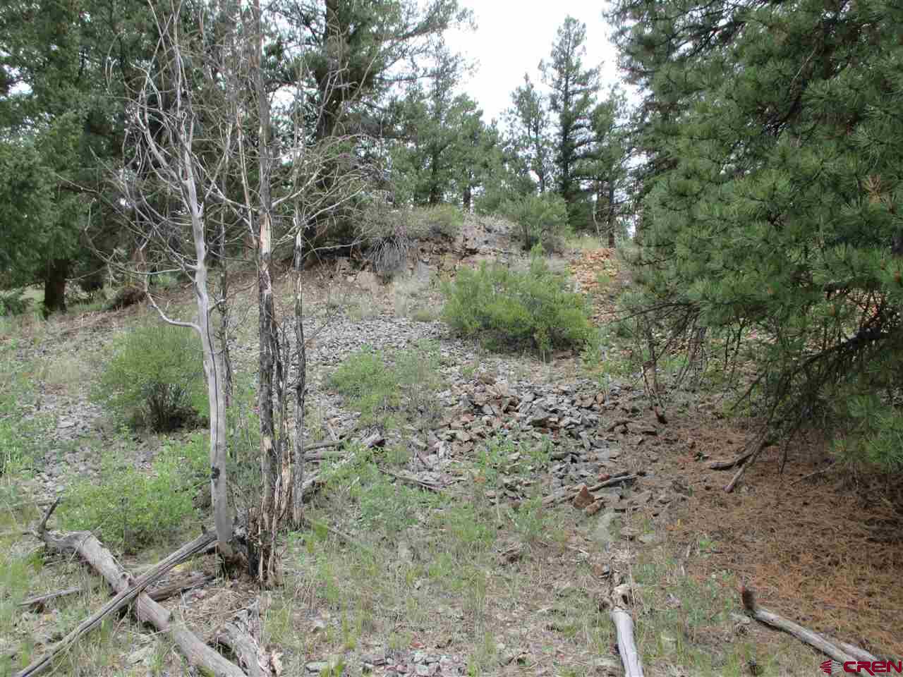 1400 Slumgullion Road Lake City, CO 81235 - Photo 27 of 35 a view of a forest filled with trees