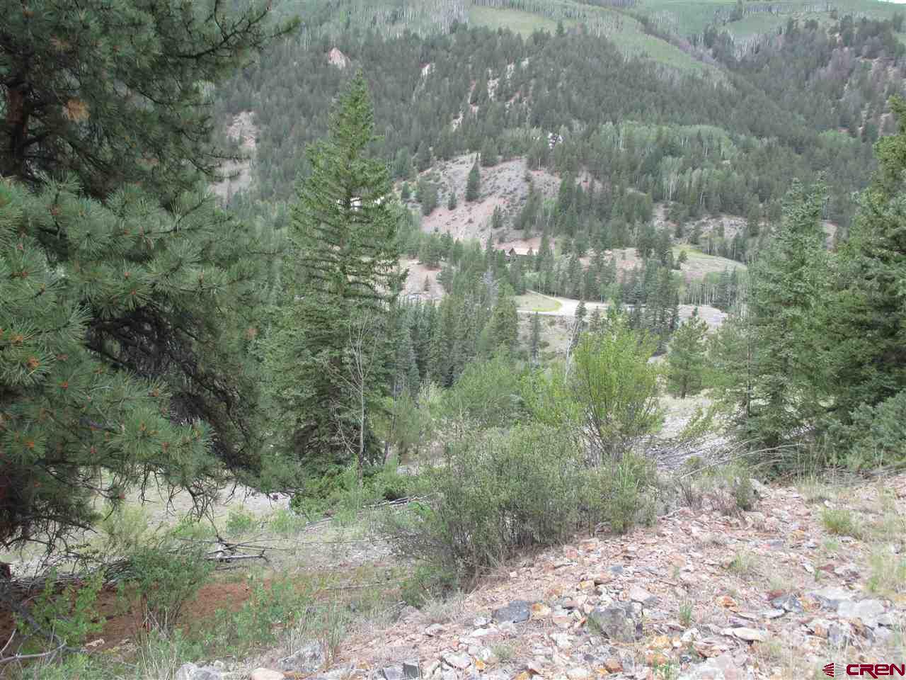 1400 Slumgullion Road Lake City, CO 81235 - Photo 29 of 35 a view of a forest with trees