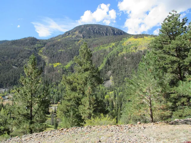 a view of a bunch of trees and bushes