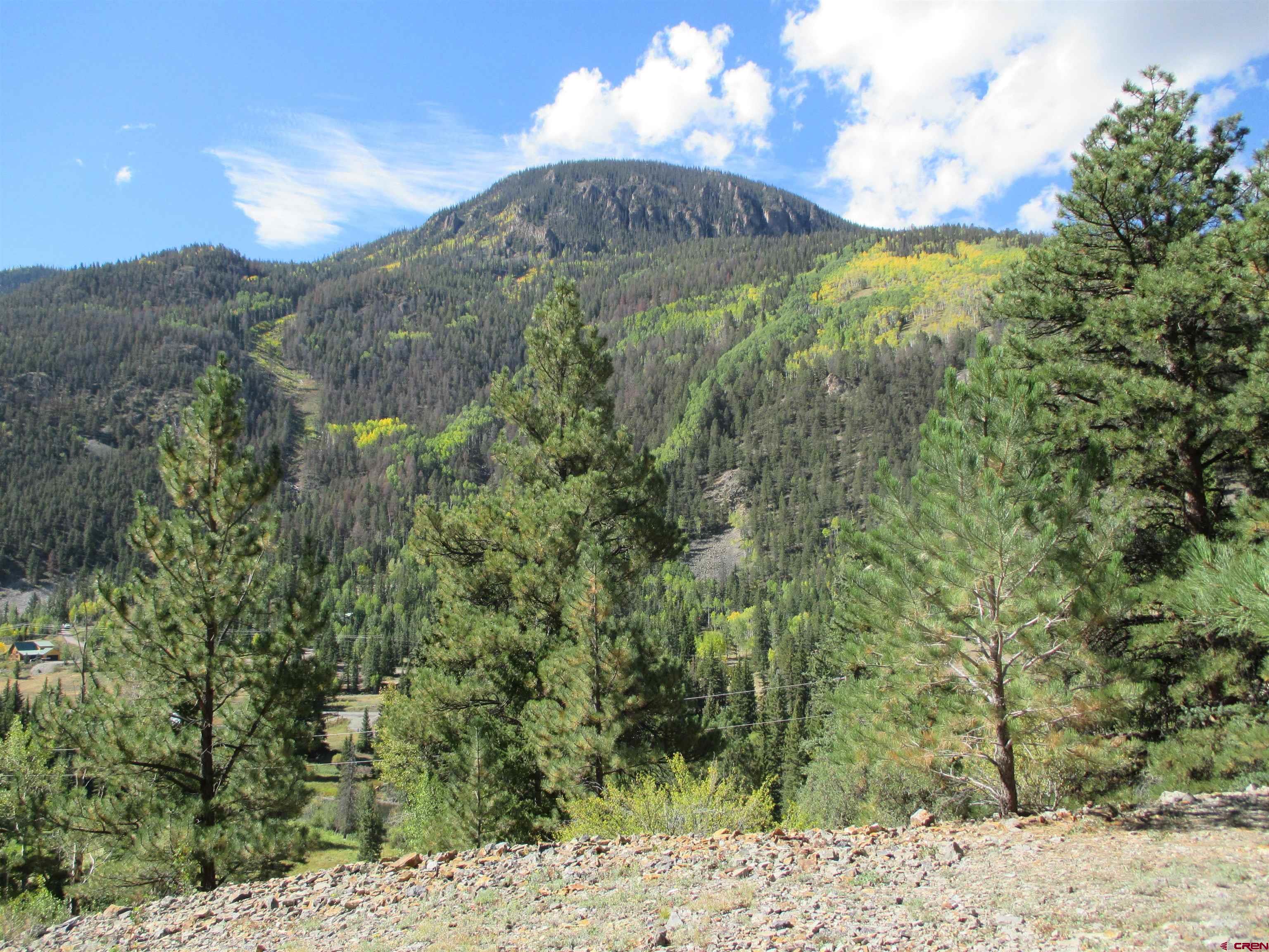 1400 Slumgullion Road Lake City, CO 81235 - Photo 3 of 35 a view of a bunch of trees and bushes