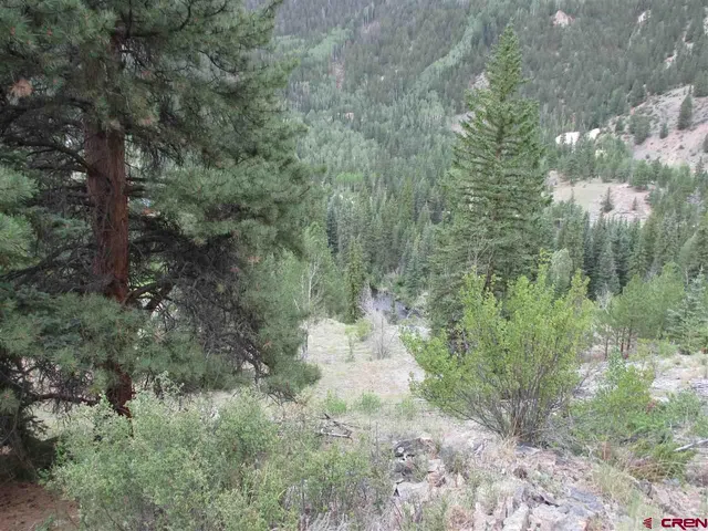 a big yard with lots of green space and deers