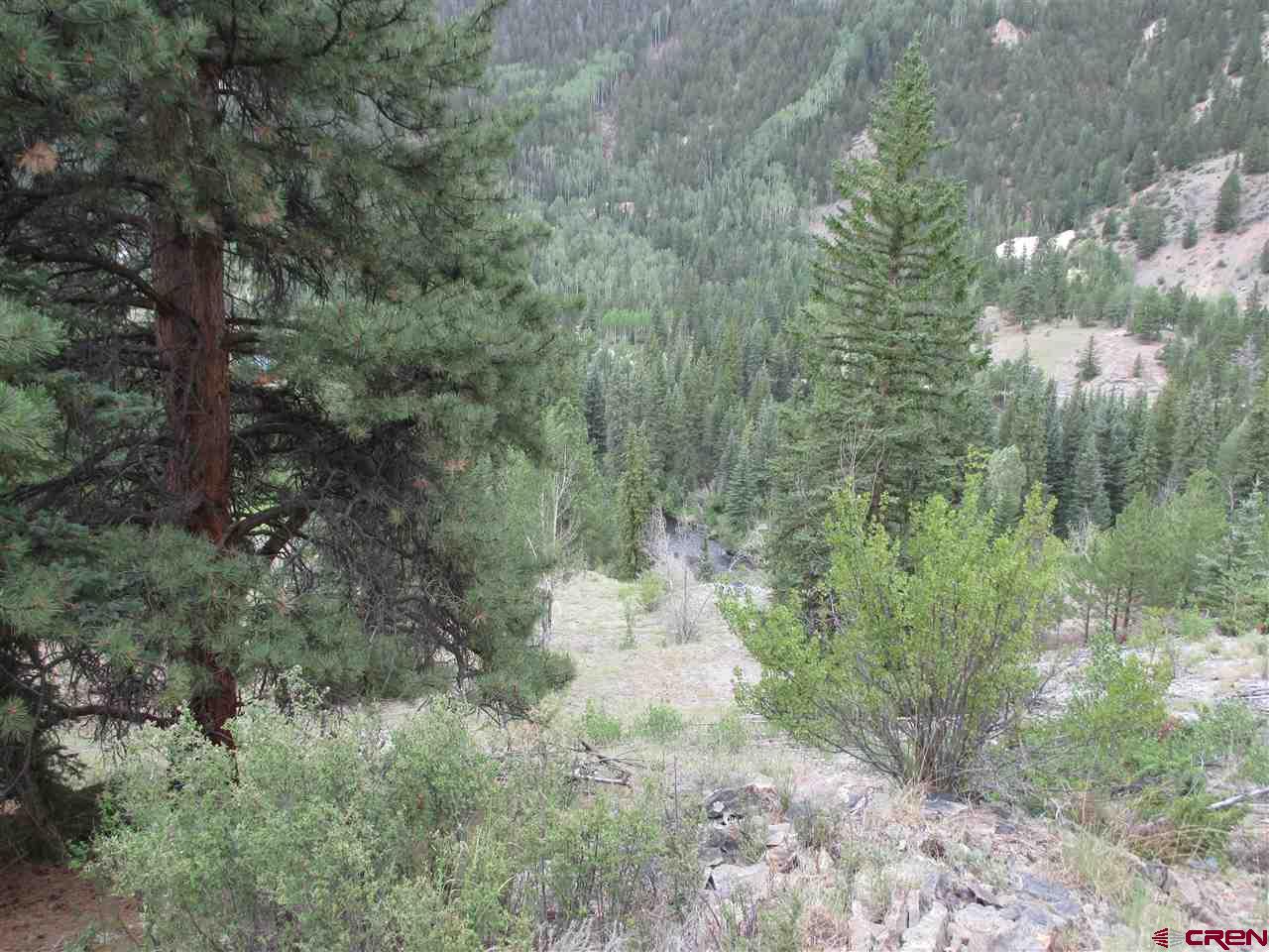 1400 Slumgullion Road Lake City, CO 81235 - Photo 31 of 35 a big yard with lots of green space and deers